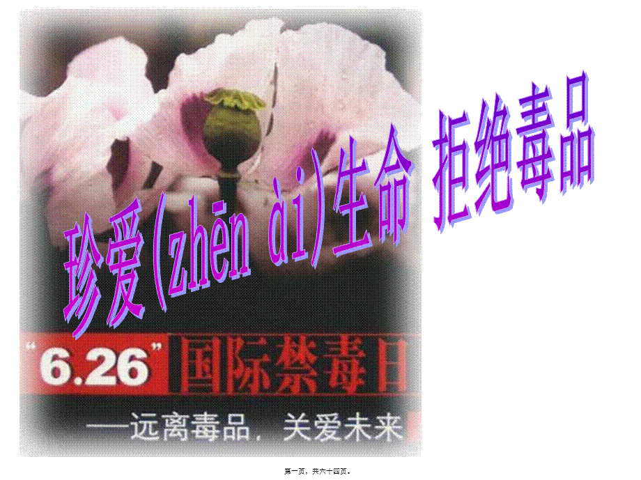 2022年医学专题—珍爱生命---拒绝毒品..ppt_第1页