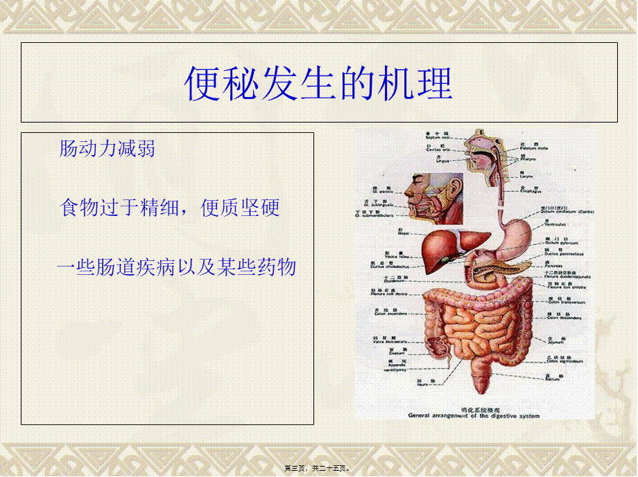 公共营养师课程(一)便秘.pptx_第3页