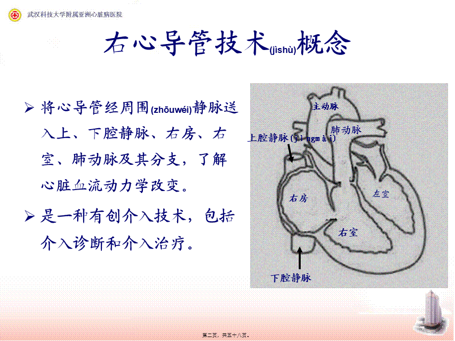 2022年医学专题—右心导管检查和心血管造影.ppt_第2页