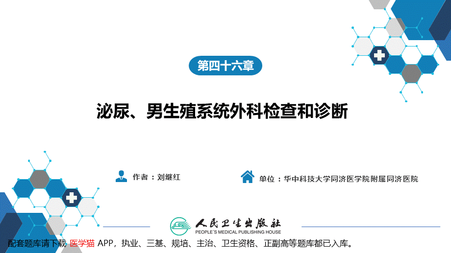 第四十六章 泌尿、男生殖系统外科检查和诊断(1).pptx_第2页