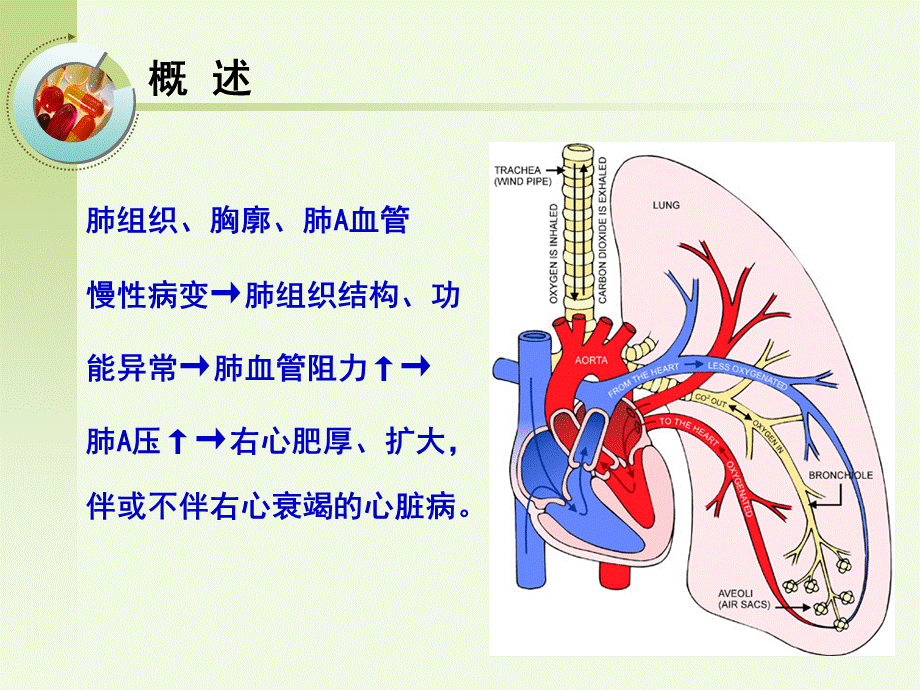 38呼吸内科-肺源性心脏病病人的护理(1).ppt_第2页