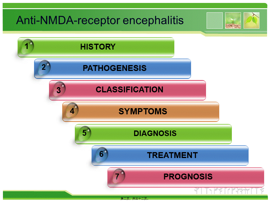 2022年医学专题—抗NMDA受体脑炎.ppt_第2页