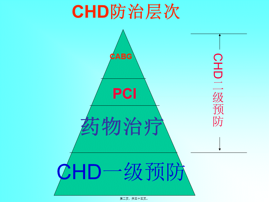 CHD合理用药及误区.pptx_第2页