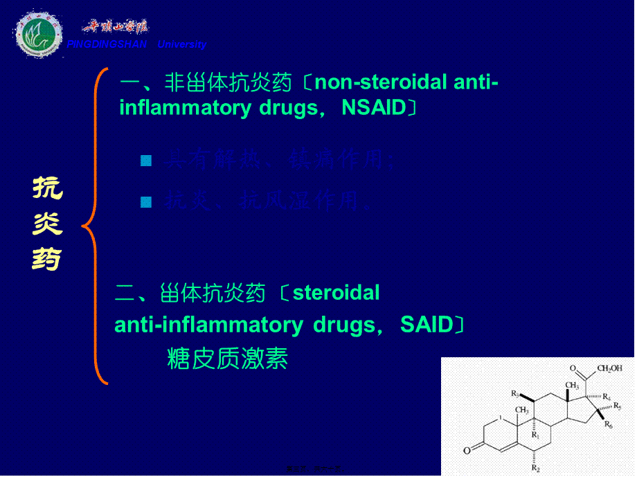 cq18--解热镇痛抗炎.pptx_第3页