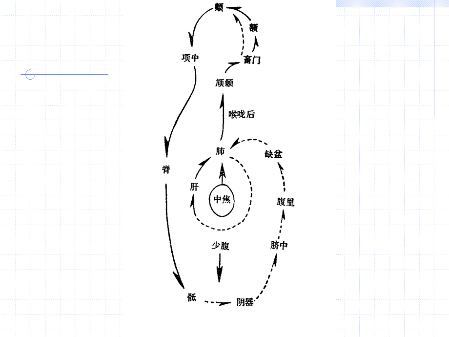 90人体经络穴位图谱13督脉(1).ppt_第3页