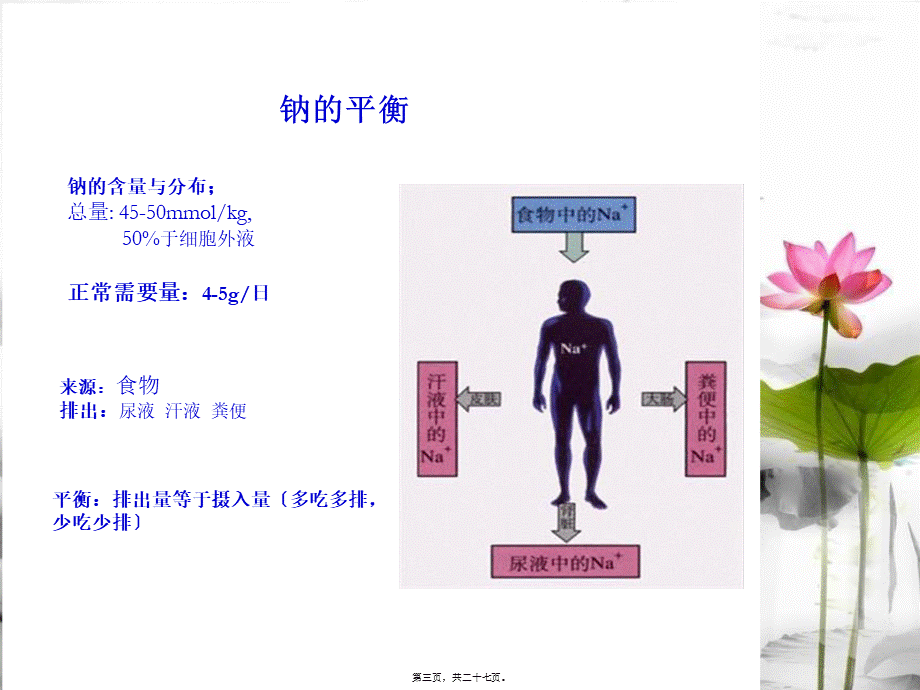 危重病人补液.pptx_第3页