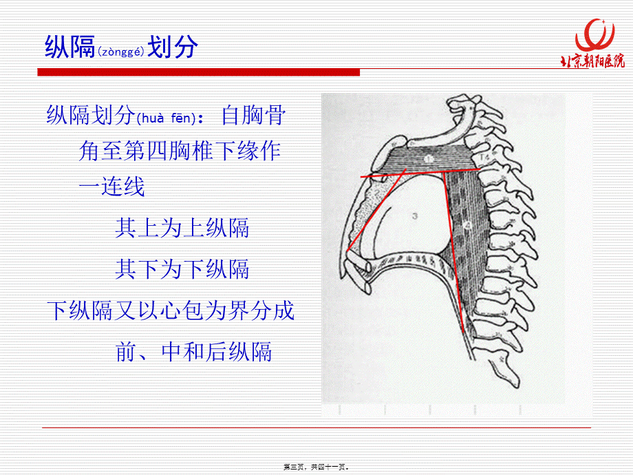 2022年医学专题—肺癌纵隔分期评估.ppt_第3页