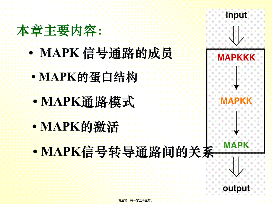 丝裂原活化蛋白激酶.pptx_第3页