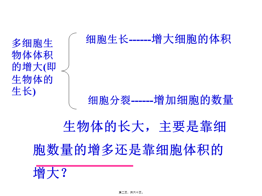 6.1细胞增殖.pptx_第2页