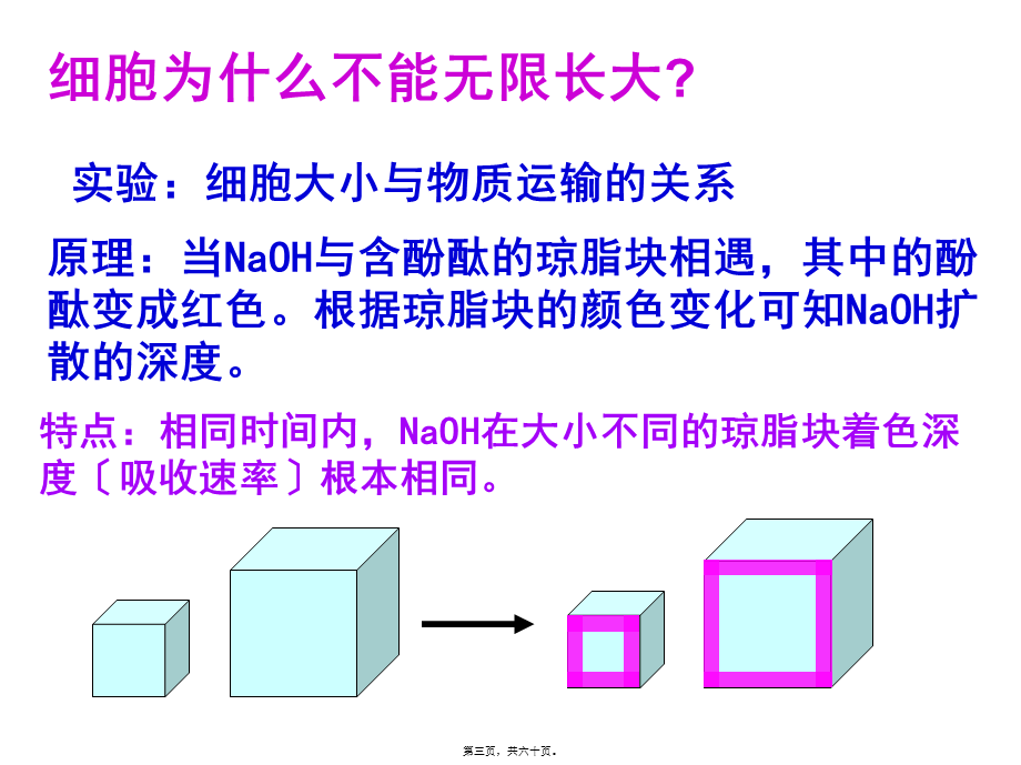 6.1细胞增殖.pptx_第3页