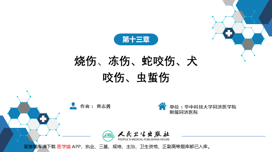 第十三章 烧伤、冻伤、蛇咬伤、犬咬伤、虫蛰伤 第四、五、六节(1).pptx_第2页