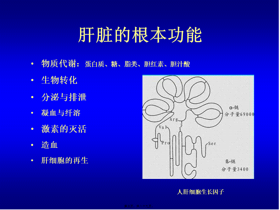 学时肝功能检查.ppt_第3页