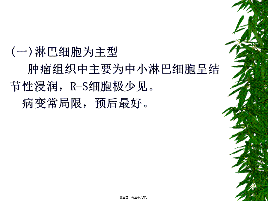 41-第六篇第六章淋巴瘤.pptx_第3页