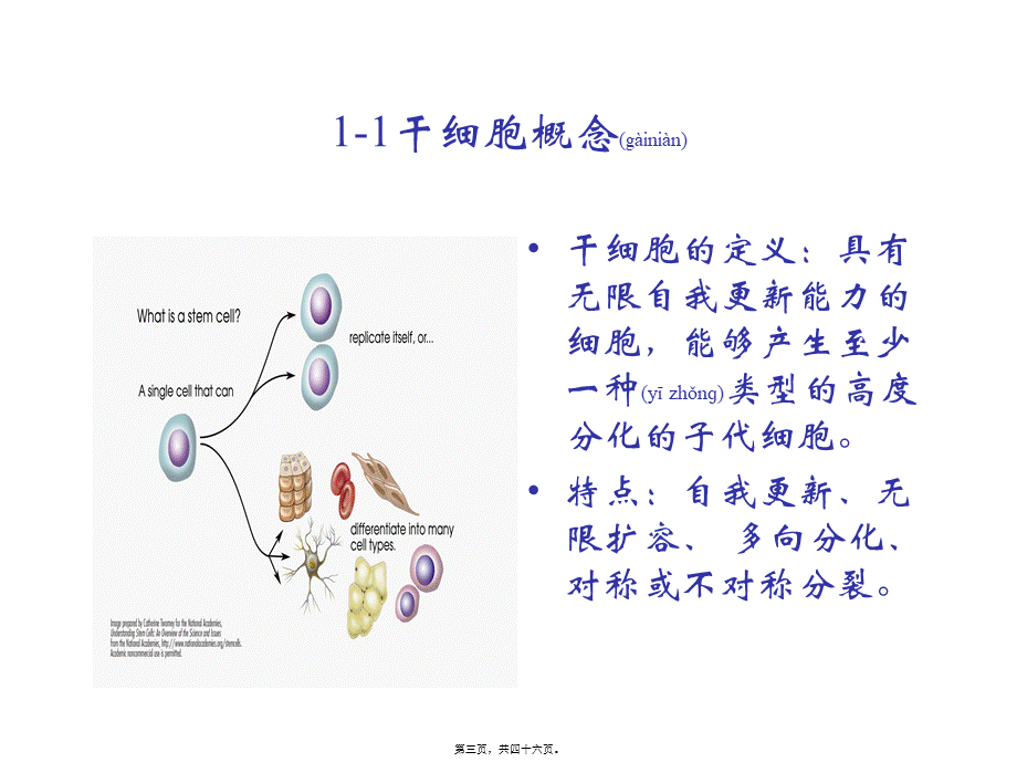 2022年医学专题—人类干细胞研究及伦理.ppt_第3页