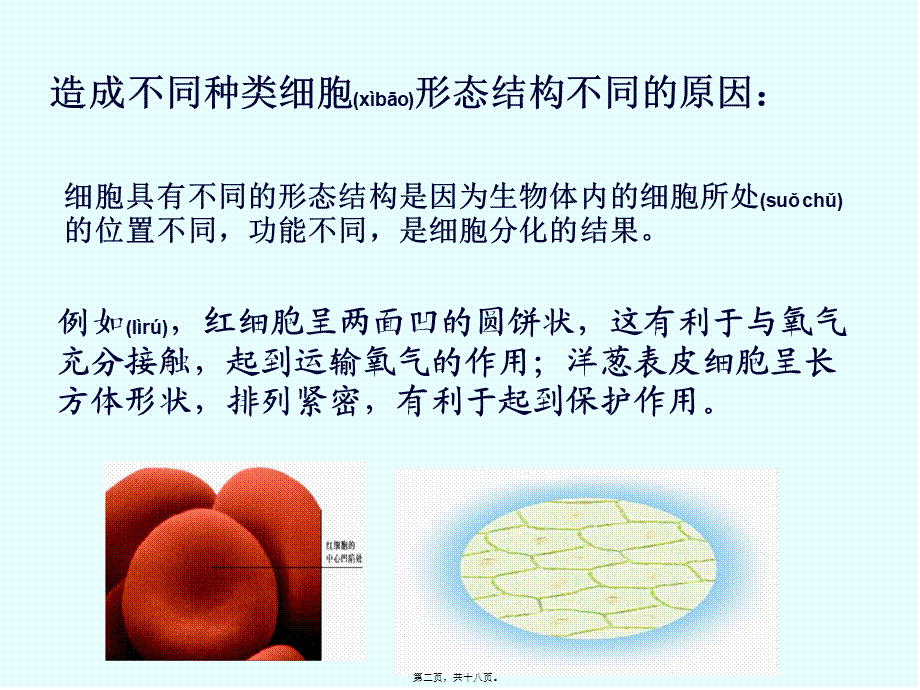 2022年医学专题—细胞的多样性和统一性市级公开课.ppt_第2页