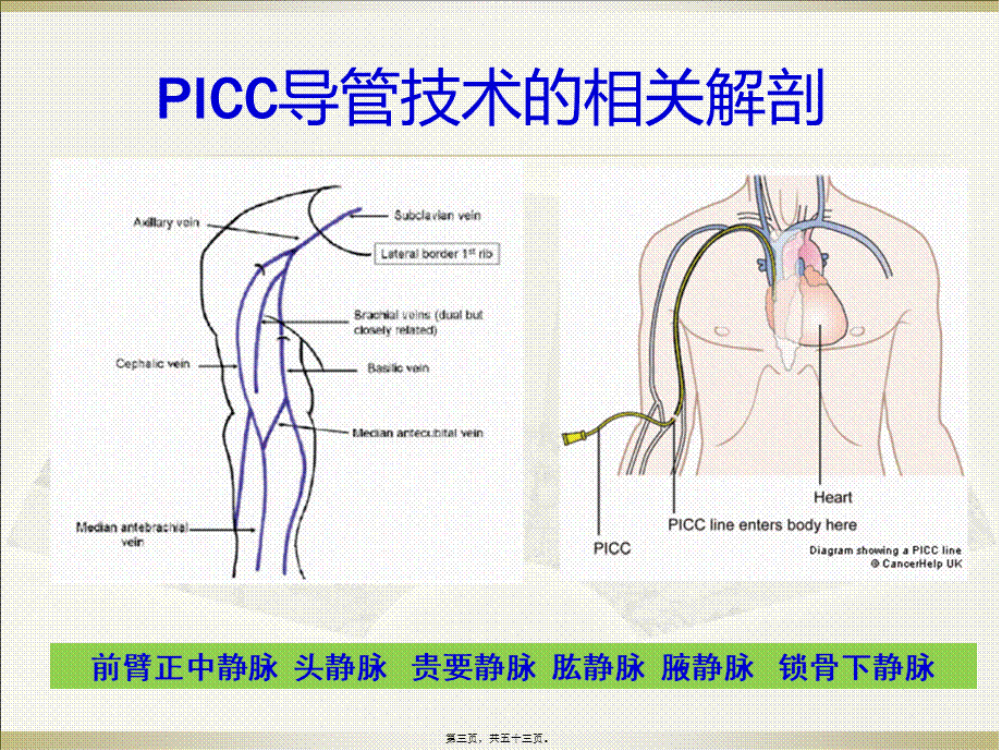 PICC导管头端定位与并发症处理.pptx_第3页