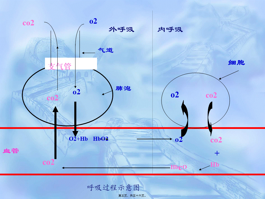 ICU血气分析.pptx_第3页