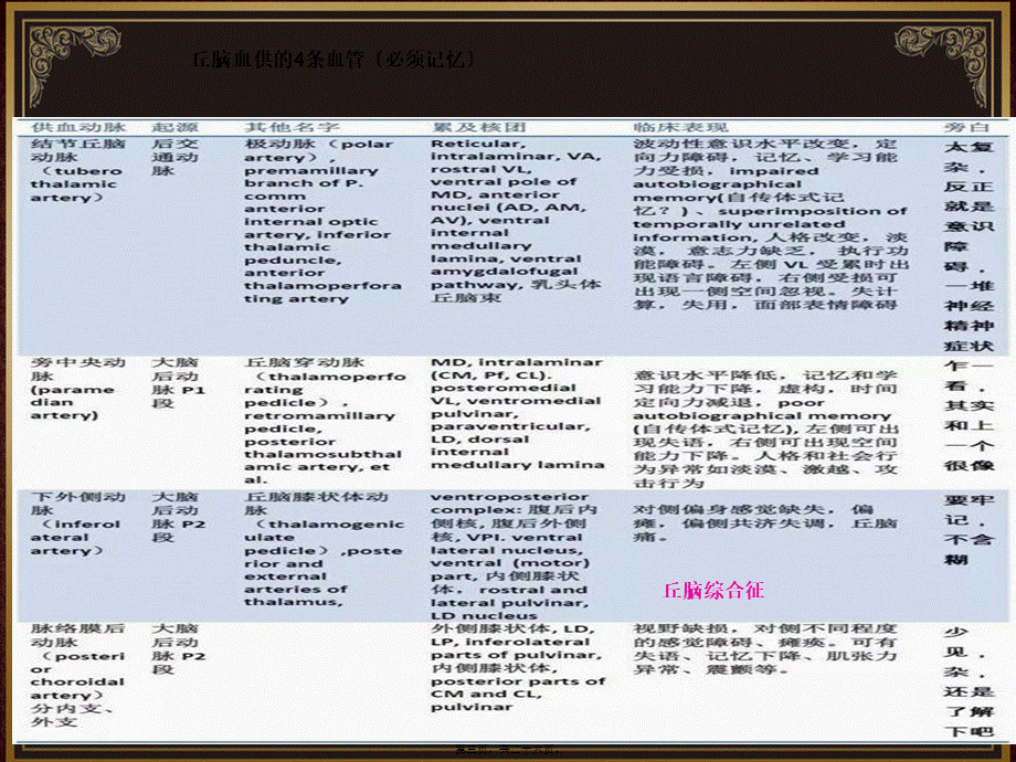 丘脑血供.ppt_第3页