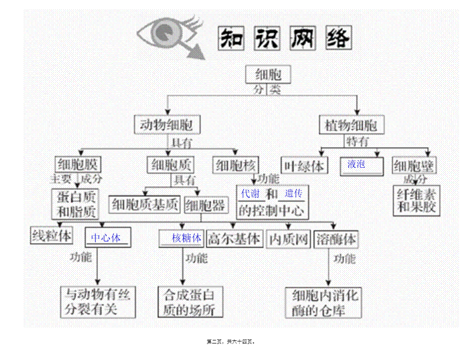 一轮复习细胞器.pptx_第2页