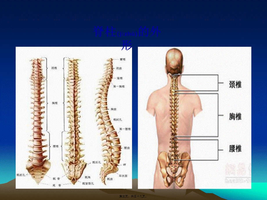 2022年医学专题—脊柱骨折诊疗及进展j.ppt_第3页