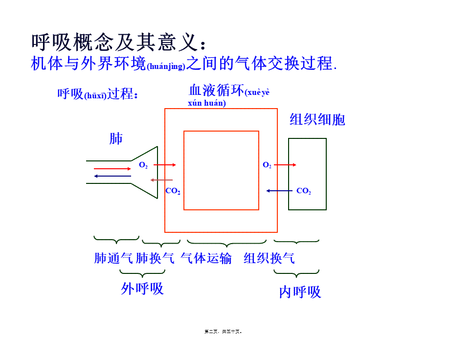 2022年医学专题—呼吸机基础知识笔记.pptx_第2页