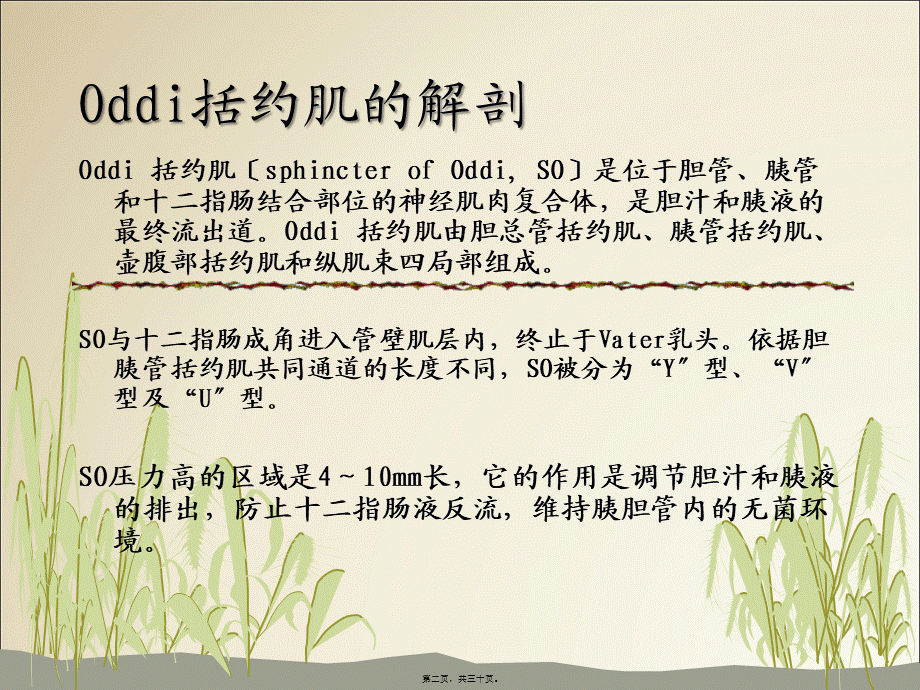 Oddi括约肌功能障碍(SOD).pptx_第2页