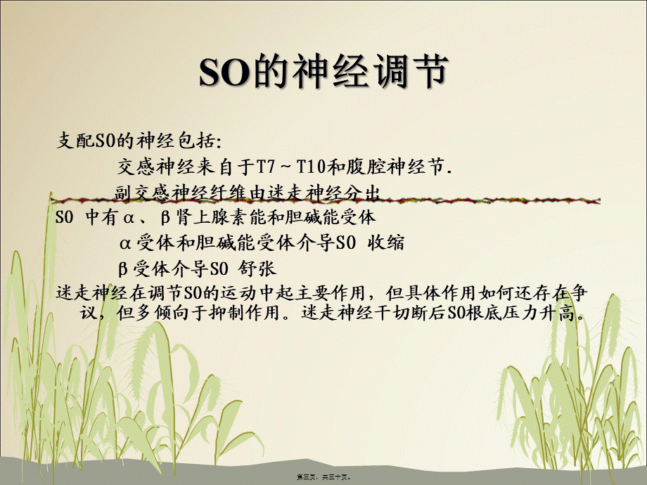 Oddi括约肌功能障碍(SOD).pptx_第3页