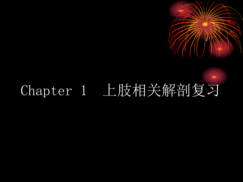 33骨科-上肢骨、关节损伤(五年制幻)(1).ppt_第3页