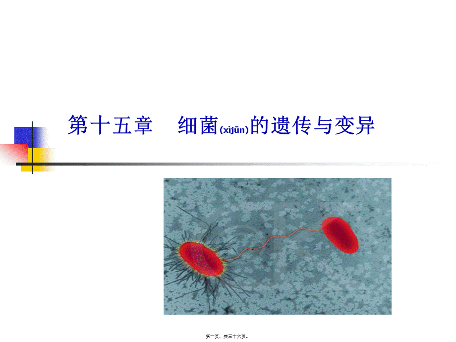 2022年医学专题—第15章-细菌的遗传与变异.ppt_第1页