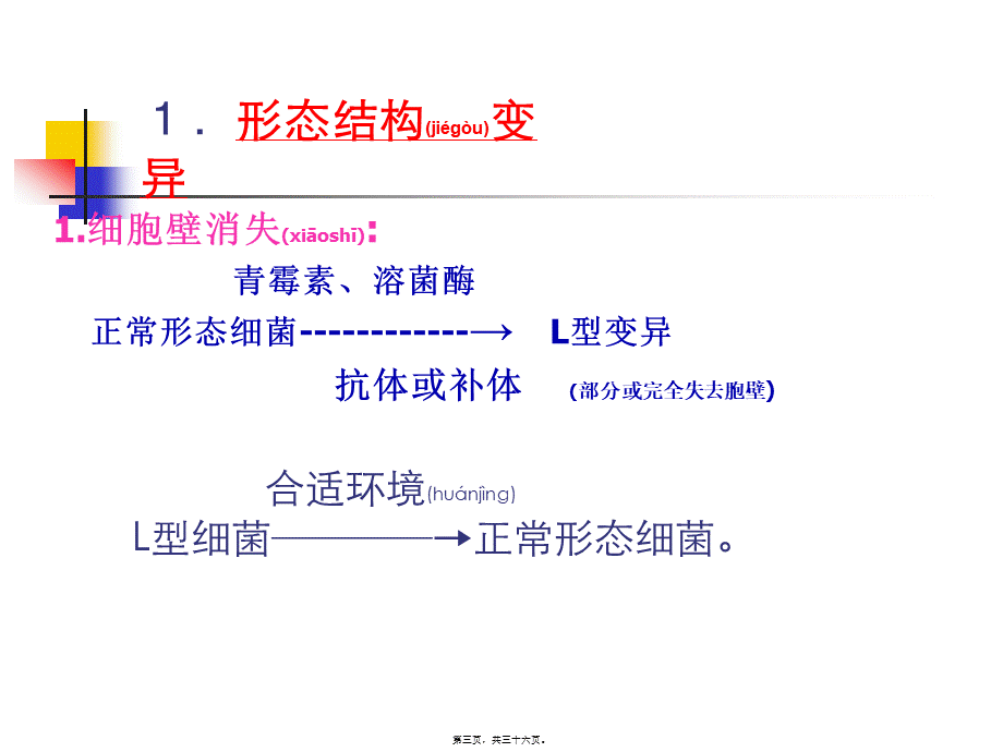 2022年医学专题—第15章-细菌的遗传与变异.ppt_第3页