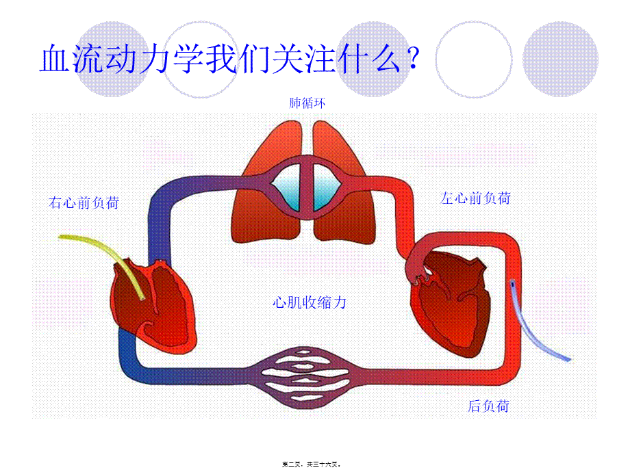 PICCO参数解读与血流动力学.pptx_第2页