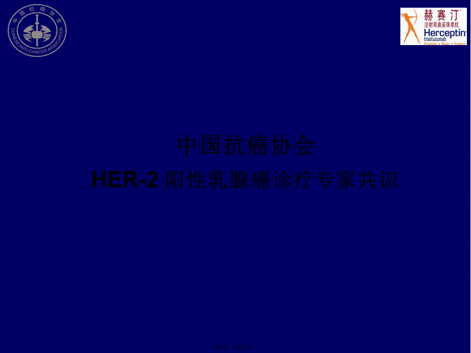 HER2阳性复发转移乳腺癌诊疗策略.pptx_第1页