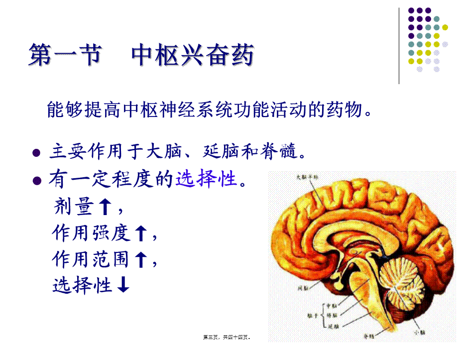 5中枢兴奋药和利尿药.pptx_第3页