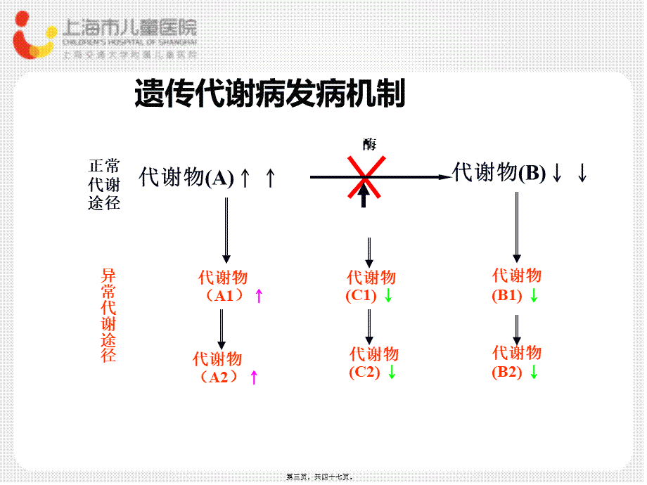 上海儿童医院.pptx_第3页