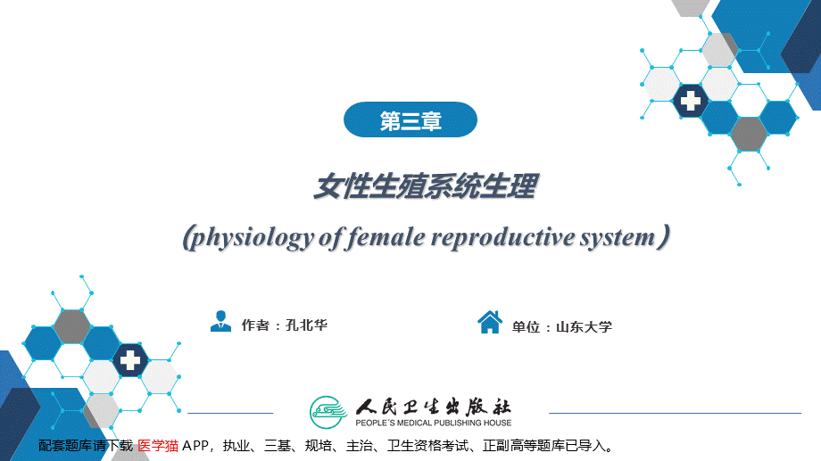 第三章女性生殖系统生理.(1).pptx_第2页