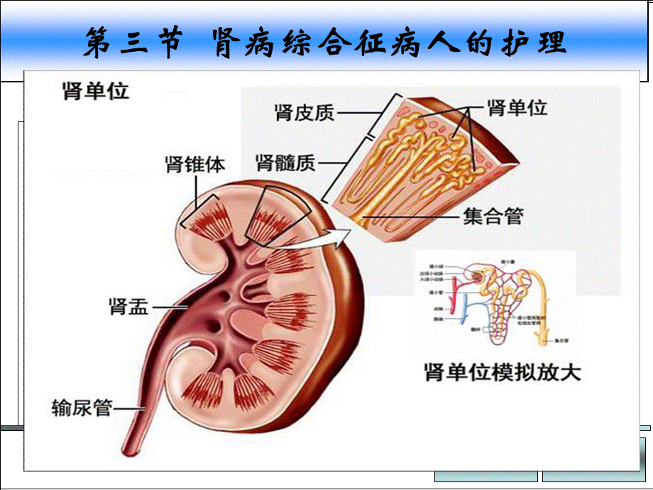 101肾病综合征PPT(1).ppt_第1页