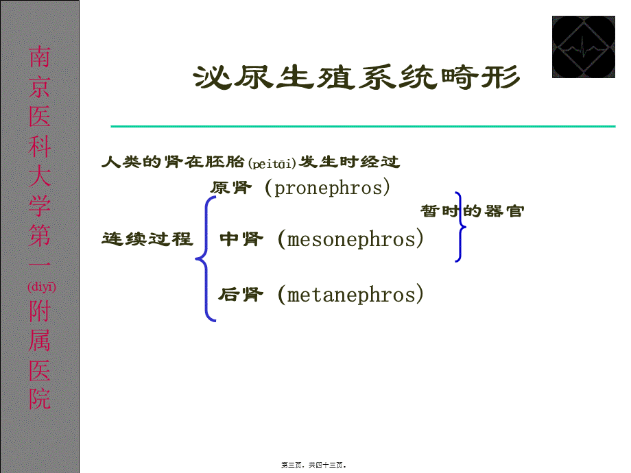 2022年医学专题—泌尿生殖系统畸形.ppt_第3页