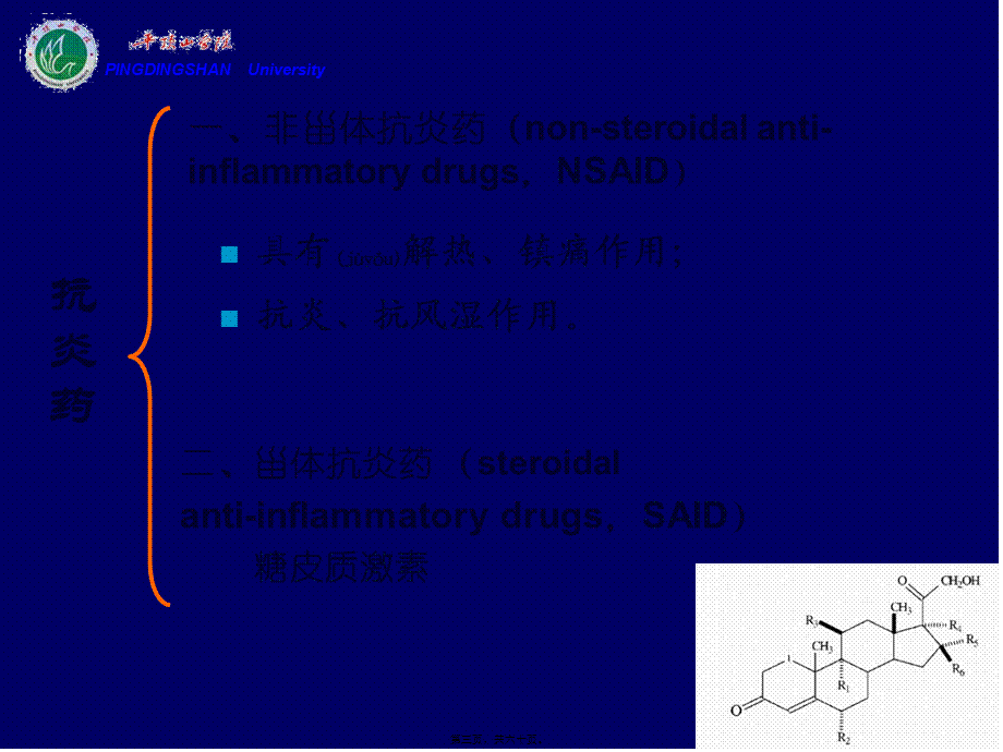 2022年医学专题—cq18解热镇痛抗炎教程.ppt_第3页