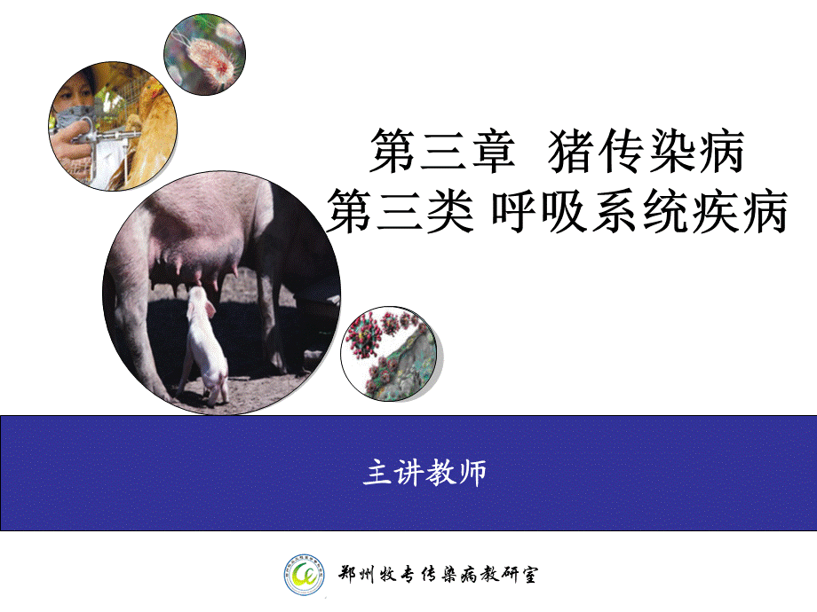 猪接触性传染性胸膜肺炎-(APP).ppt_第1页