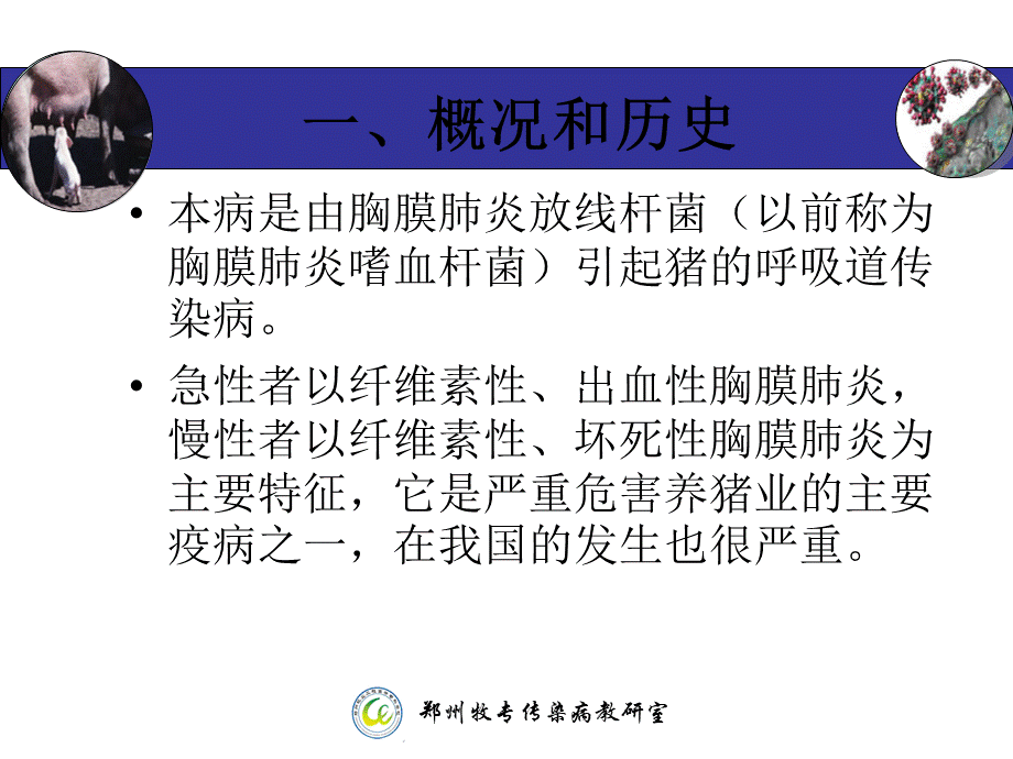 猪接触性传染性胸膜肺炎-(APP).ppt_第3页