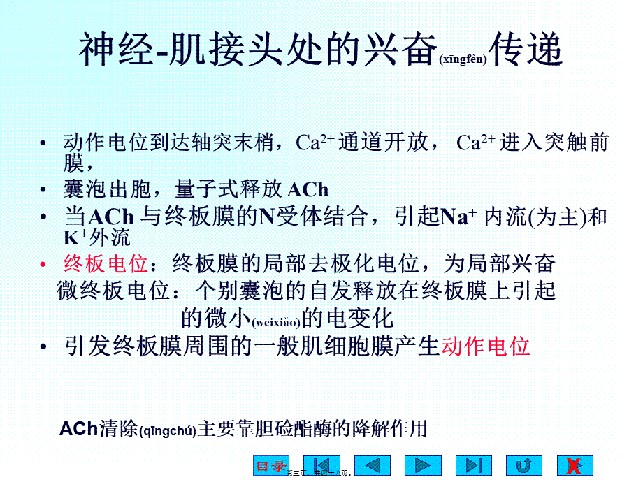 2022年医学专题—肌细胞的收缩功能.ppt_第3页