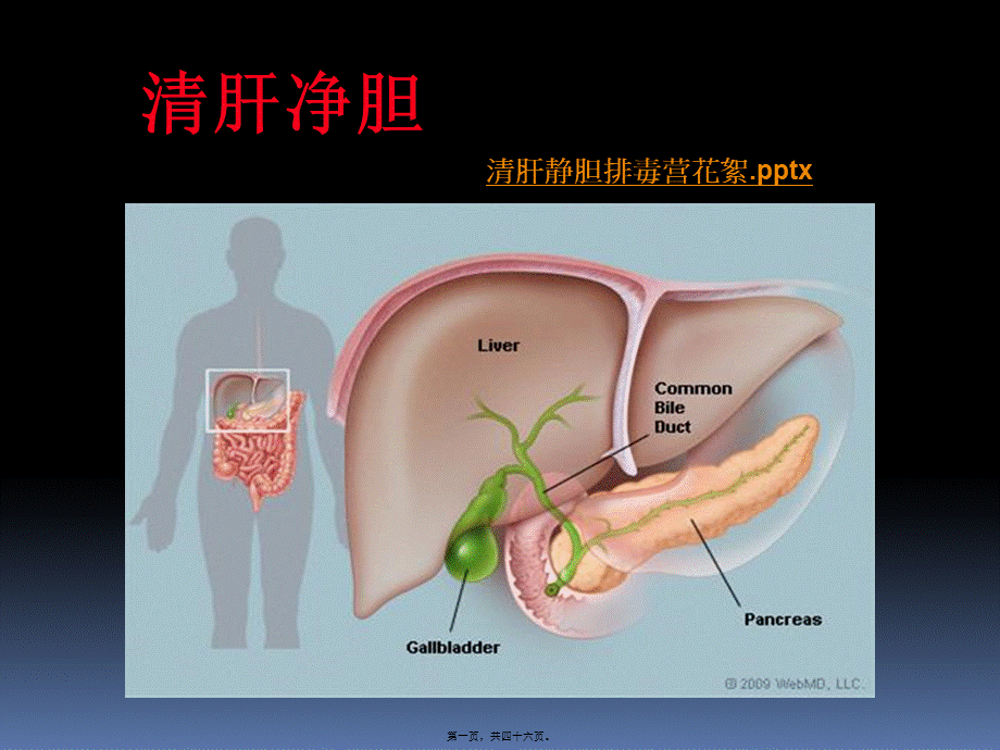 为什么要排肝毒new.ppt_第1页