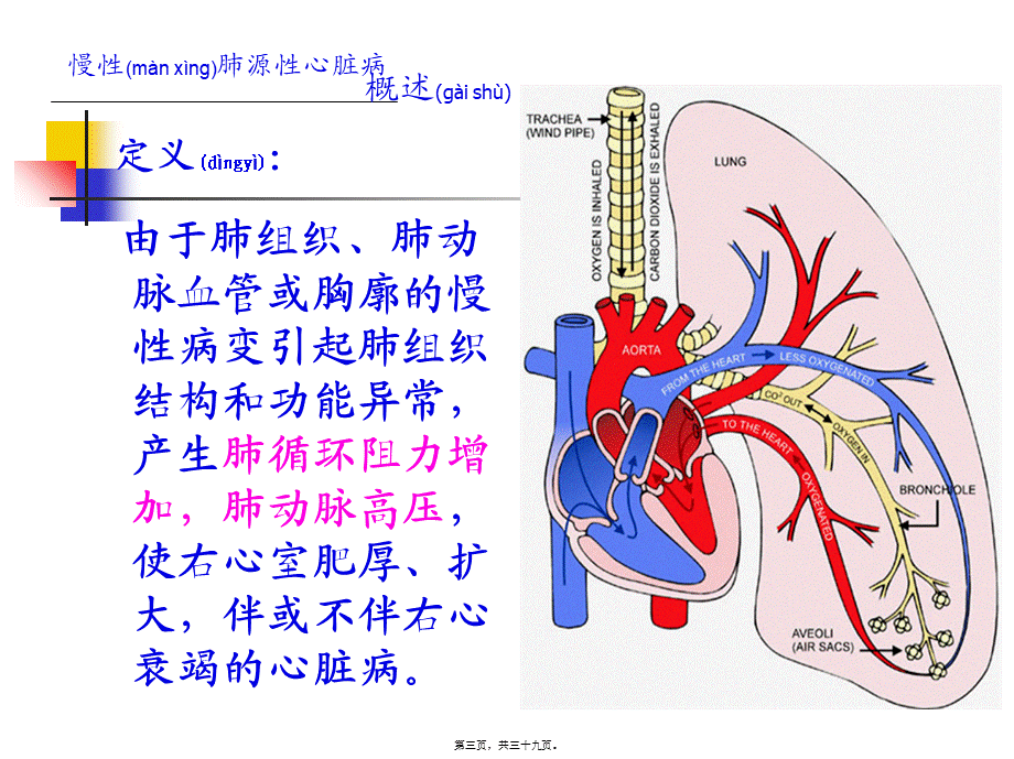 2022年医学专题—慢性肺源性心脏病.ppt_第3页