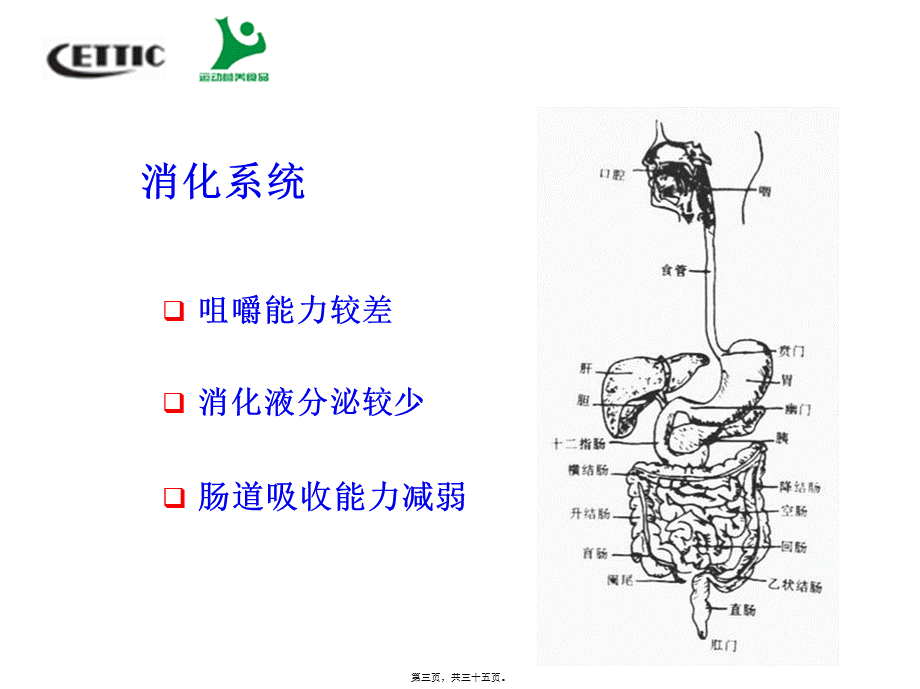 中老人运动营养.pptx_第3页