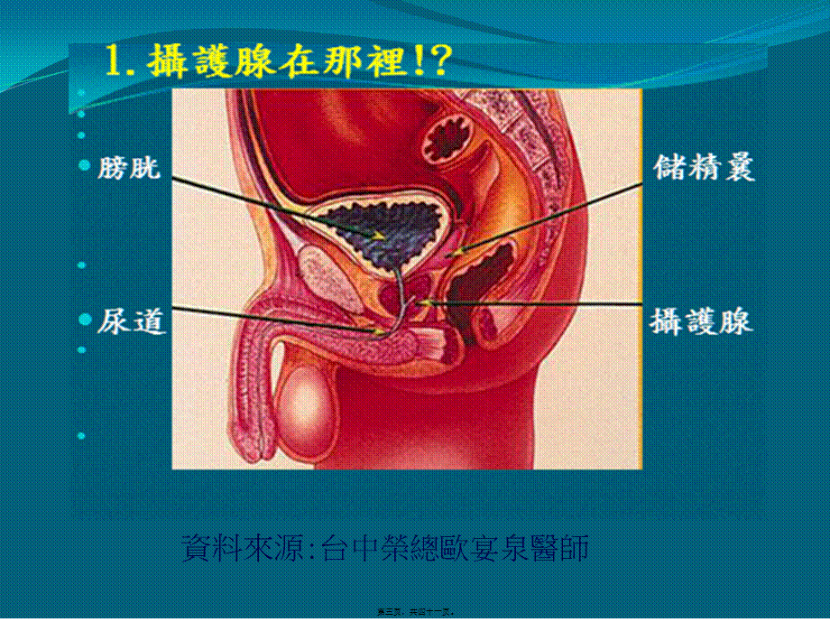 2022年医学专题—男人保住摄护腺基本认识汇编.ppt_第3页