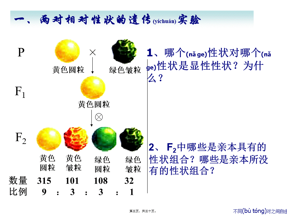 2022年医学专题—妈妈和姐姐都是单眼皮我是双眼皮猜猜我爸爸是双眼皮还.ppt_第3页