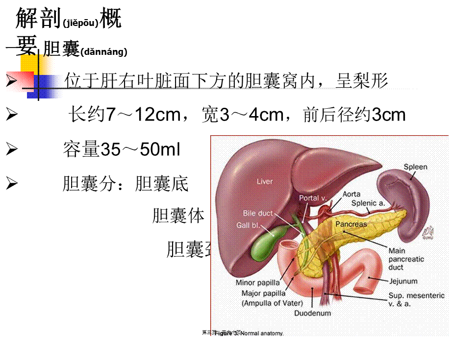 2022年医学专题—胆囊炎.ppt_第3页