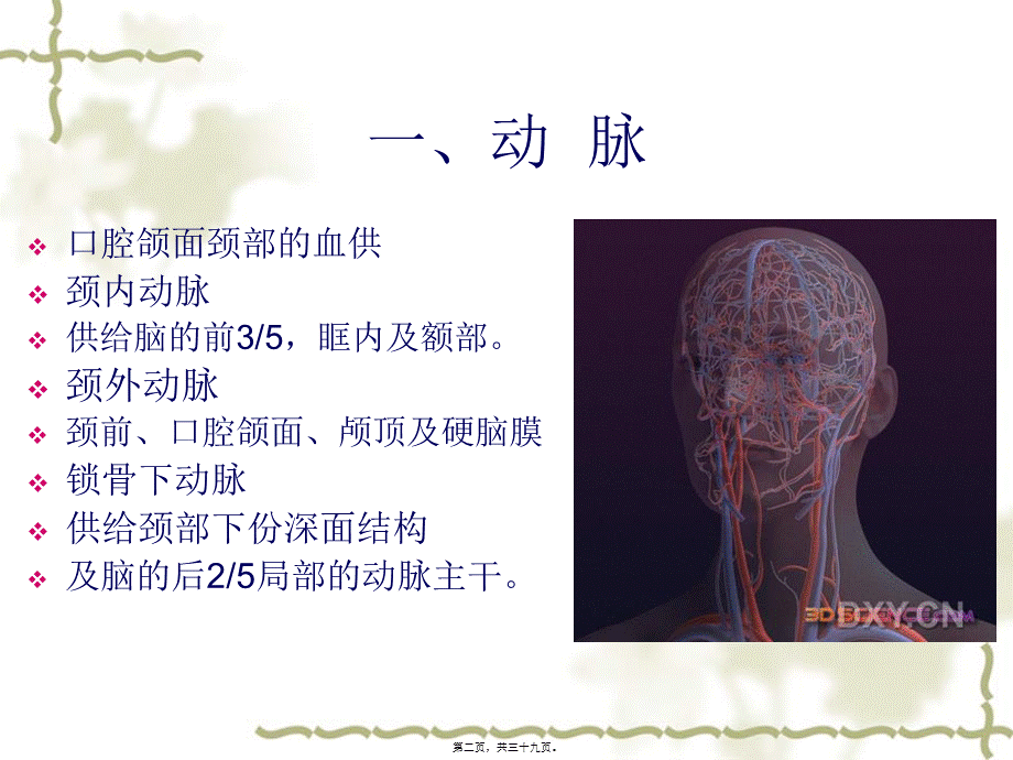 7血管淋巴神经.pptx_第2页