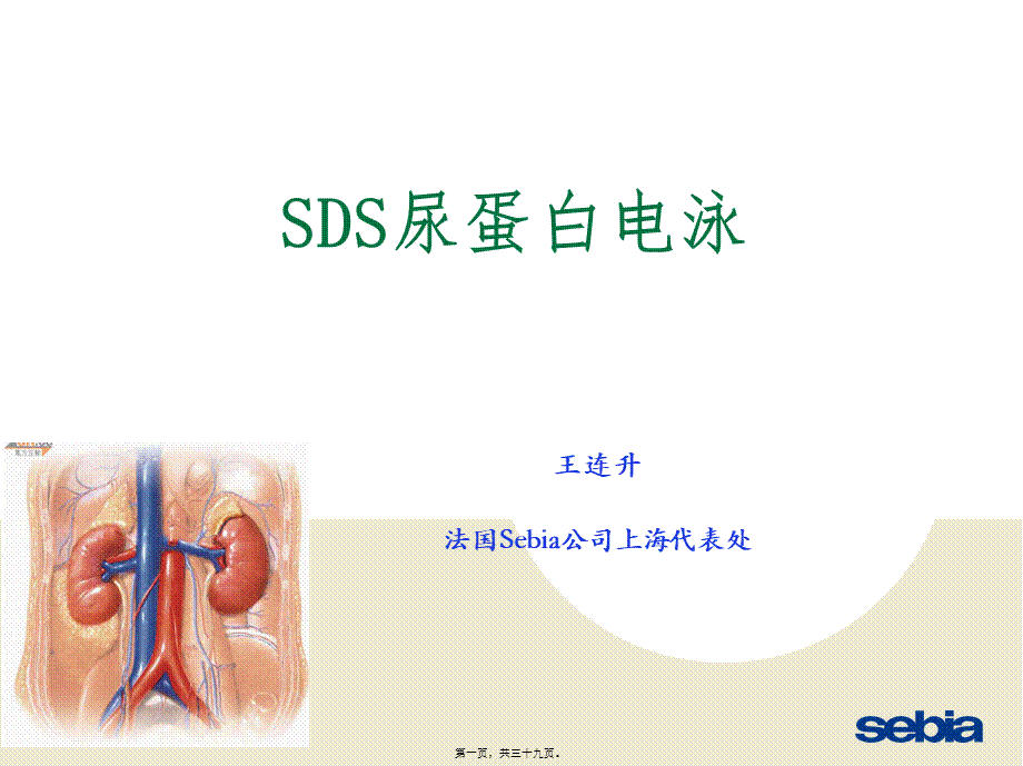 SDS尿蛋白及本周氏电泳的意义.ppt_第1页