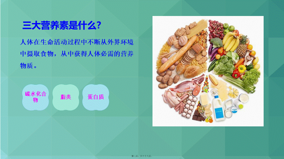 三大营养素.ppt_第2页